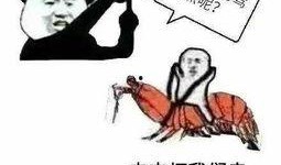 娱乐吃瓜酱专属梗图片,图解娱乐圈那些事儿