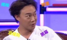 爆料娱乐圈被盗的明星,揭秘幕后黑手与惊人内幕